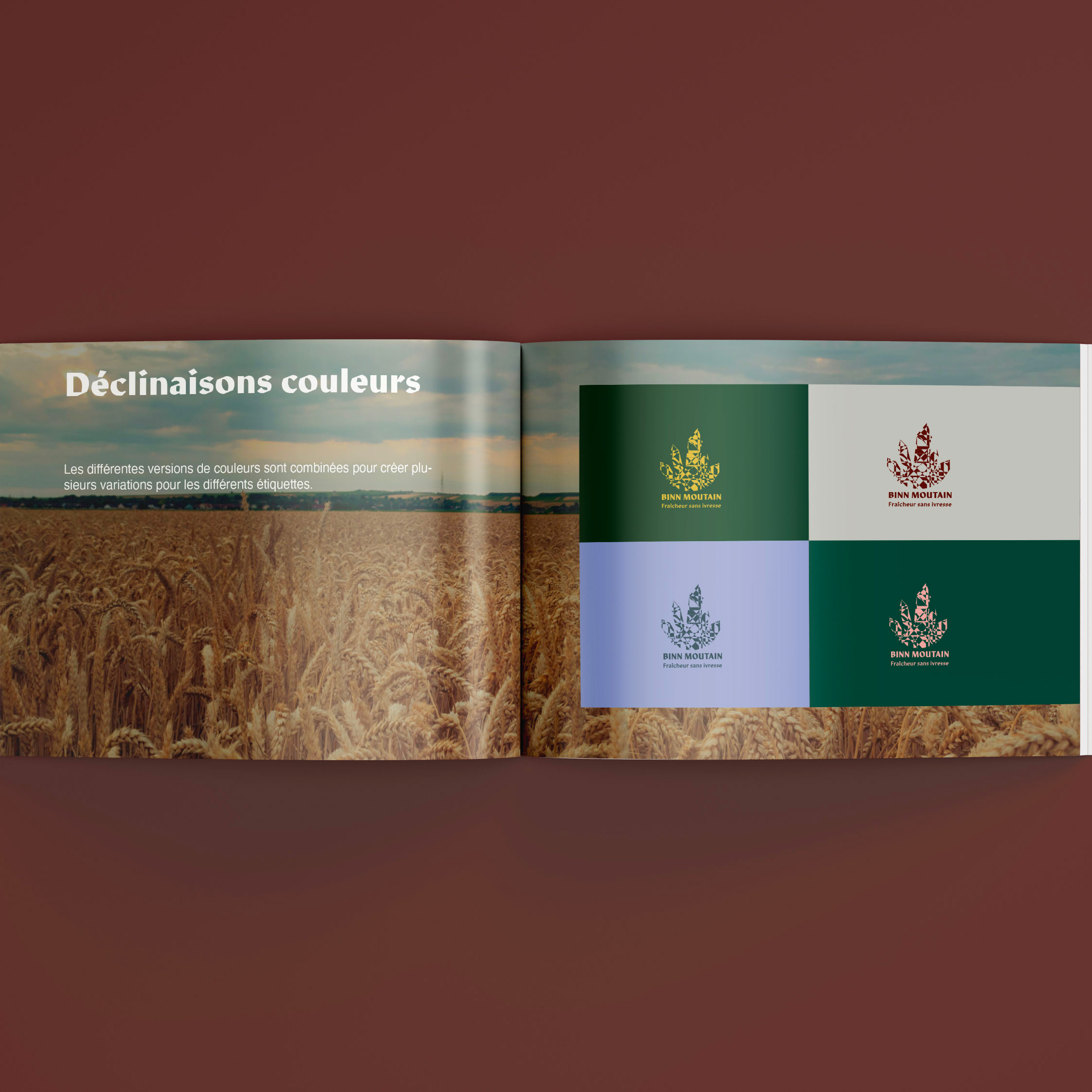 Déclinaisons de couleurs